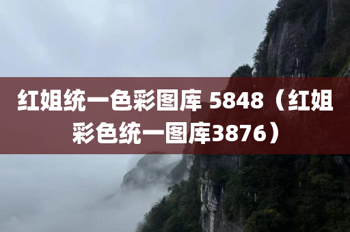 红姐统一色彩图库 5848（红姐彩色统一图库3876）