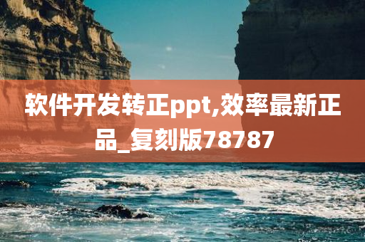 软件开发转正ppt,效率最新正品_复刻版78787