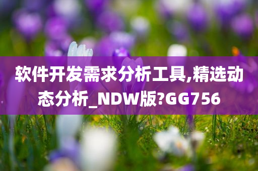 软件开发需求分析工具,精选动态分析_NDW版?GG756