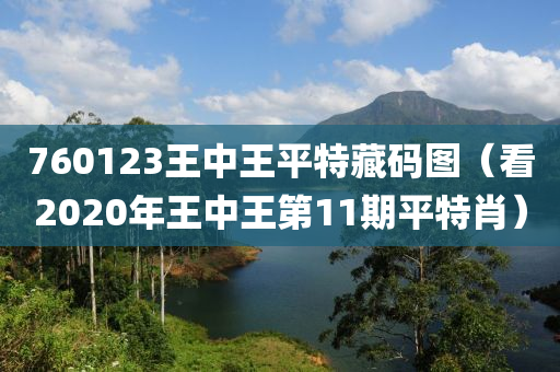 760123王中王平特藏码图（看2020年王中王第11期平特肖）