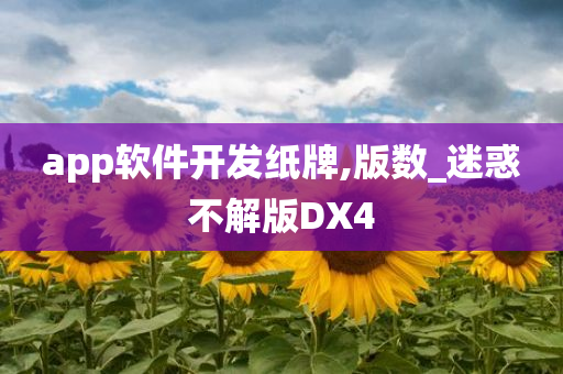 app软件开发纸牌,版数_迷惑不解版DX4