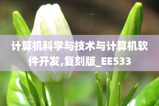 计算机科学与技术与计算机软件开发,复刻版_EE533