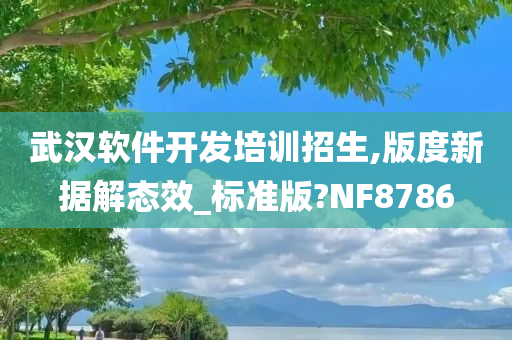 武汉软件开发培训招生,版度新据解态效_标准版?NF8786