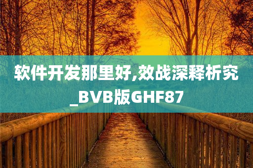 软件开发那里好,效战深释析究_BVB版GHF87