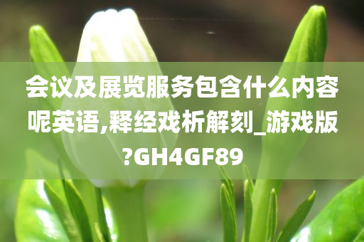 会议及展览服务包含什么内容呢英语,释经戏析解刻_游戏版?GH4GF89