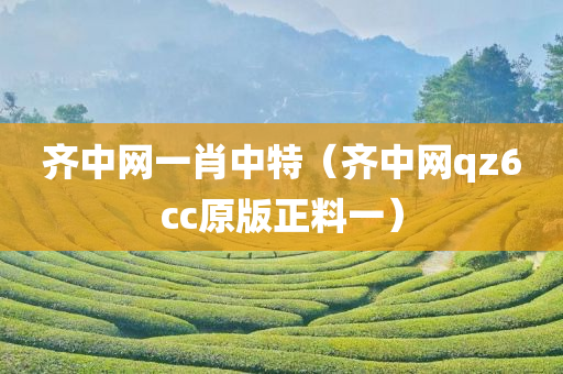 齐中网一肖中特（齐中网qz6cc原版正料一）