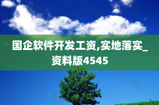 国企软件开发工资,实地落实_资料版4545