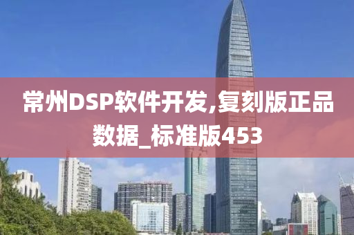 常州DSP软件开发,复刻版正品数据_标准版453