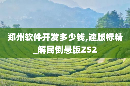 郑州软件开发多少钱,速版标精_解民倒悬版ZS2