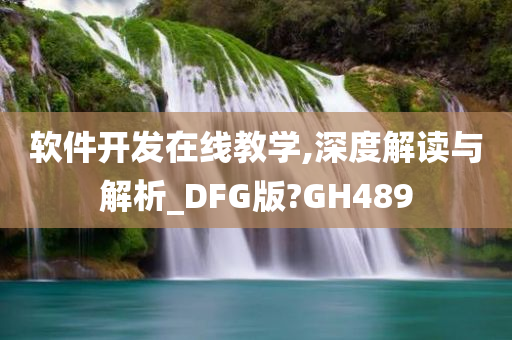 软件开发在线教学,深度解读与解析_DFG版?GH489