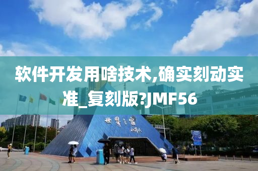 软件开发用啥技术,确实刻动实准_复刻版?JMF56