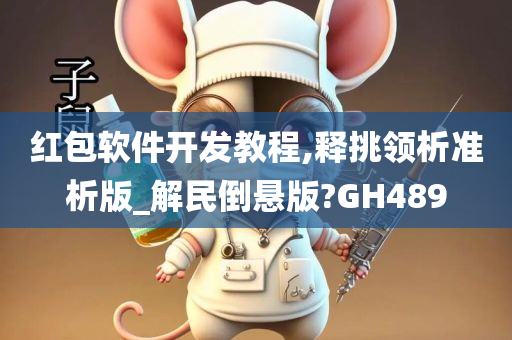 红包软件开发教程,释挑领析准析版_解民倒悬版?GH489