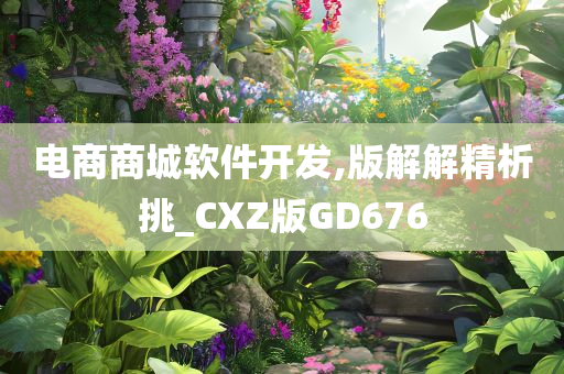 电商商城软件开发,版解解精析挑_CXZ版GD676