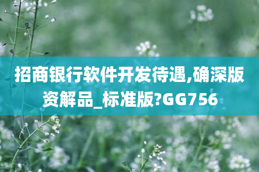 招商银行软件开发待遇,确深版资解品_标准版?GG756