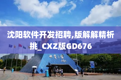 沈阳软件开发招聘,版解解精析挑_CXZ版GD676