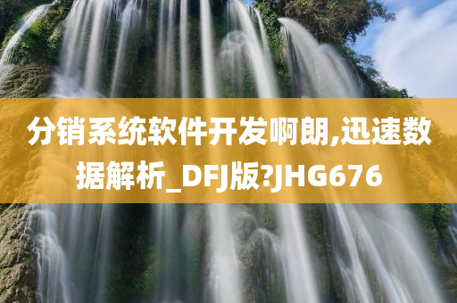 分销系统软件开发啊朗,迅速数据解析_DFJ版?JHG676