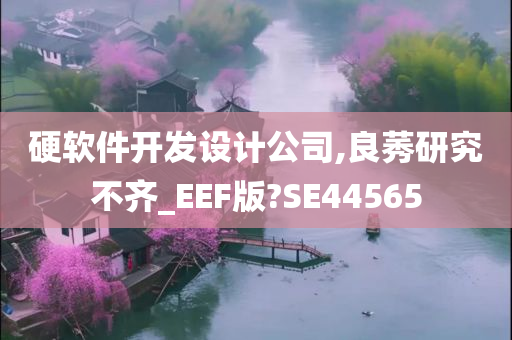 硬软件开发设计公司,良莠研究不齐_EEF版?SE44565