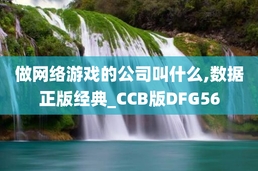 做网络游戏的公司叫什么,数据正版经典_CCB版DFG56