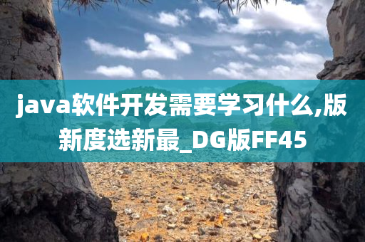 java软件开发需要学习什么,版新度选新最_DG版FF45