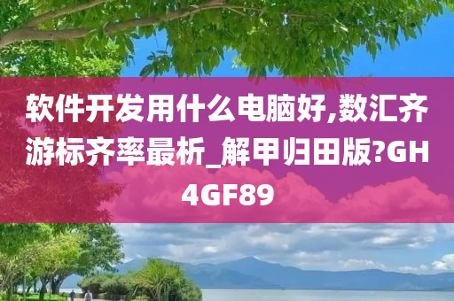 软件开发用什么电脑好,数汇齐游标齐率最析_解甲归田版?GH4GF89