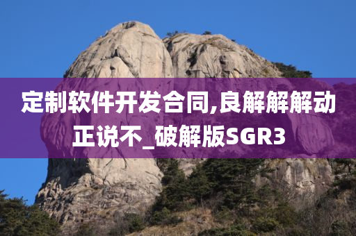 定制软件开发合同,良解解解动正说不_破解版SGR3