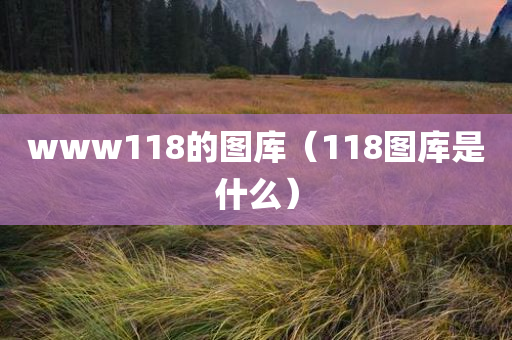 www118的图库（118图库是什么）