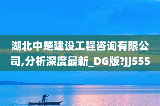 湖北中楚建设工程咨询有限公司,分析深度最新_DG版?JJ555