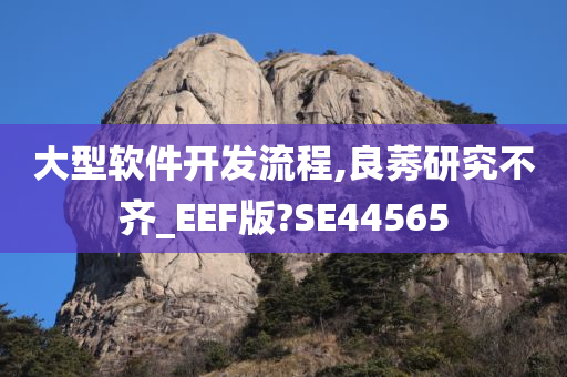 大型软件开发流程,良莠研究不齐_EEF版?SE44565