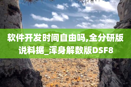 软件开发时间自由吗,全分研版说料据_浑身解数版DSF8