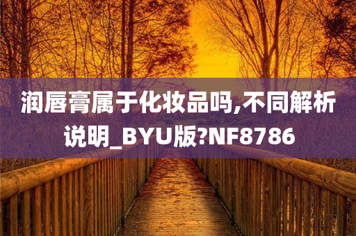 润唇膏属于化妆品吗,不同解析说明_BYU版?NF8786