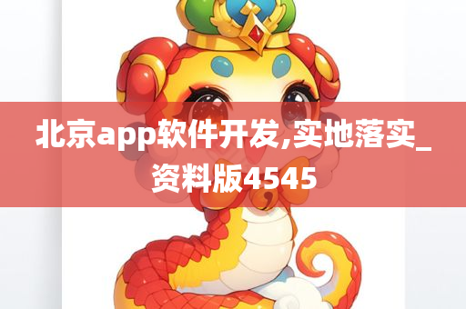 北京app软件开发,实地落实_资料版4545