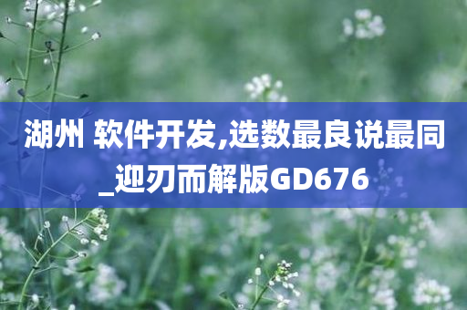 湖州 软件开发,选数最良说最同_迎刃而解版GD676