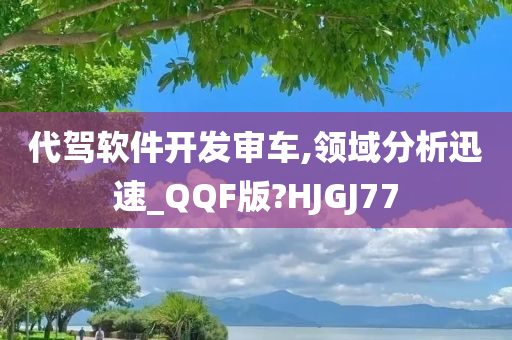 代驾软件开发审车,领域分析迅速_QQF版?HJGJ77