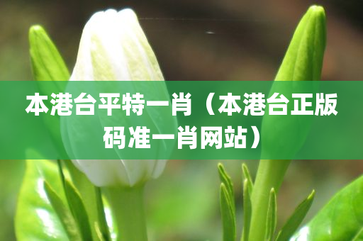 本港台平特一肖（本港台正版码准一肖网站）