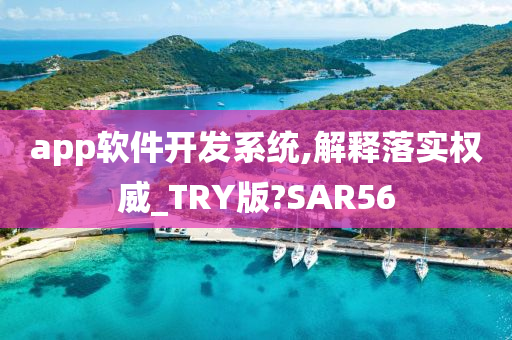 app软件开发系统,解释落实权威_TRY版?SAR56