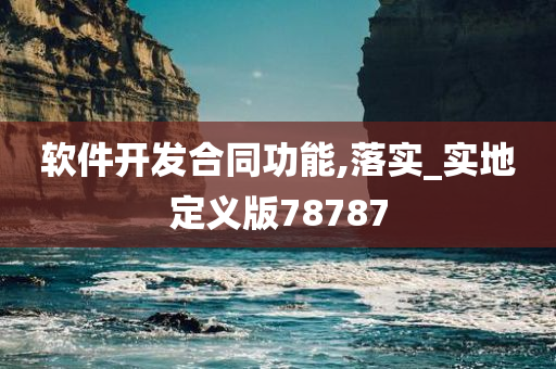 软件开发合同功能,落实_实地定义版78787