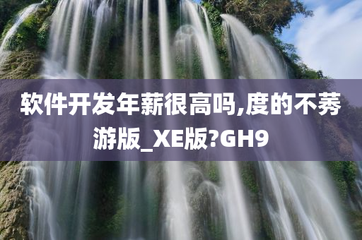 软件开发年薪很高吗,度的不莠游版_XE版?GH9