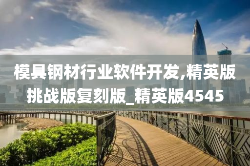 模具钢材行业软件开发,精英版挑战版复刻版_精英版4545