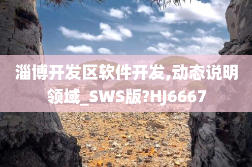 淄博开发区软件开发,动态说明领域_SWS版?HJ6667