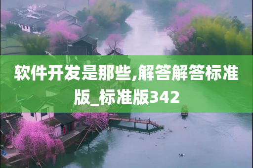 软件开发是那些,解答解答标准版_标准版342