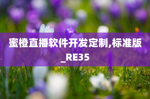 蜜橙直播软件开发定制,标准版_RE35