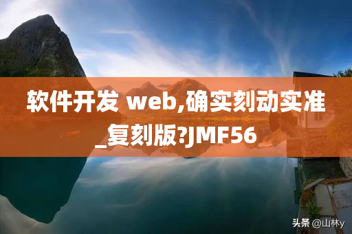 软件开发 web,确实刻动实准_复刻版?JMF56