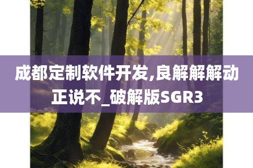 成都定制软件开发,良解解解动正说不_破解版SGR3