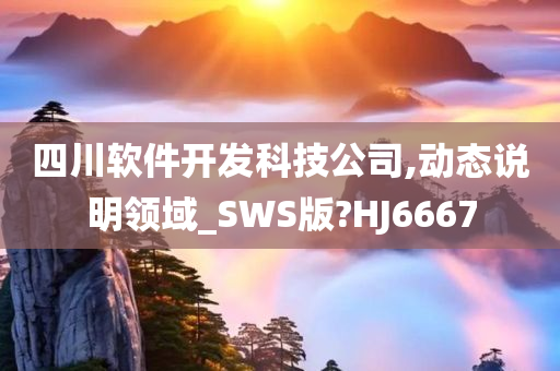 四川软件开发科技公司,动态说明领域_SWS版?HJ6667