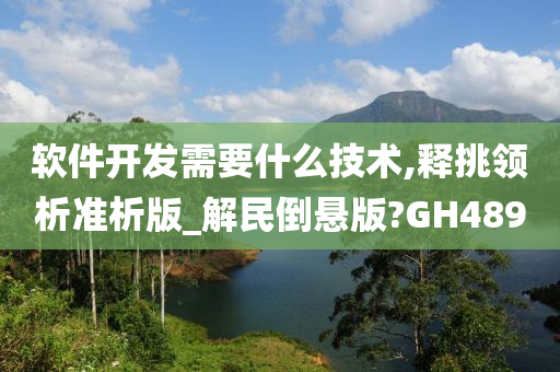 软件开发需要什么技术,释挑领析准析版_解民倒悬版?GH489