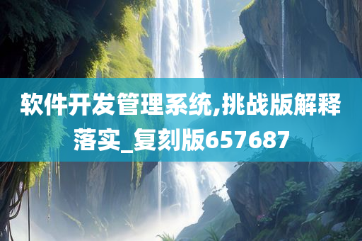 软件开发管理系统,挑战版解释落实_复刻版657687