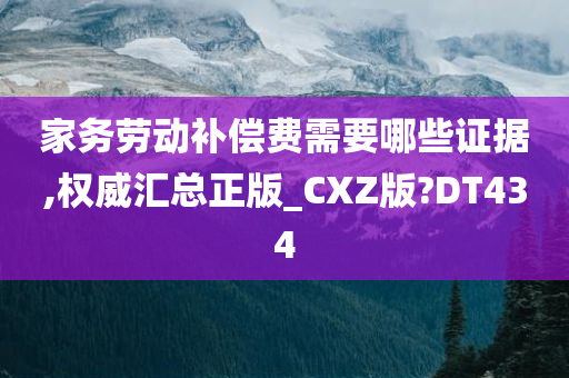 家务劳动补偿费需要哪些证据,权威汇总正版_CXZ版?DT434