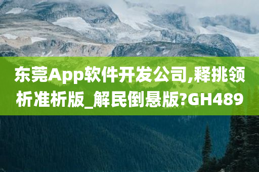 东莞App软件开发公司,释挑领析准析版_解民倒悬版?GH489