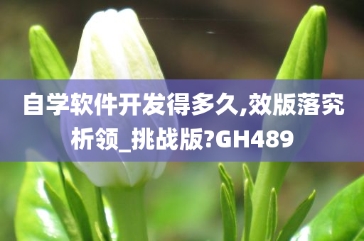 自学软件开发得多久,效版落究析领_挑战版?GH489