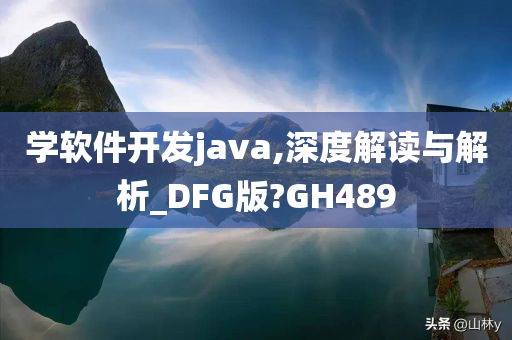 学软件开发java,深度解读与解析_DFG版?GH489